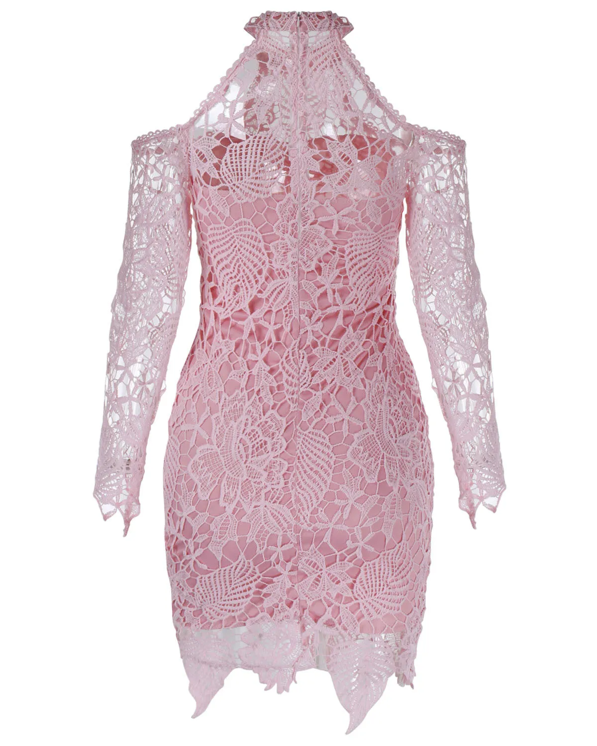 Bear Shoulder High Neck Long Sleeves Short Lace Dress